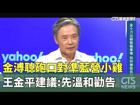 金溥聰砲口對準藍營小雞　王金平建議：先溫和勸告