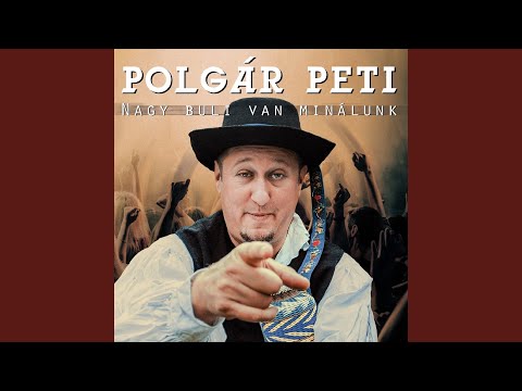 Zöld erdőben ritka a wifi