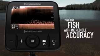 Эхолот raymarine dragonfly 4 dvs