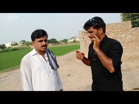 watch subscriber Ali Raza from Faisalabad in Punjab Pakistan August 18. 2020