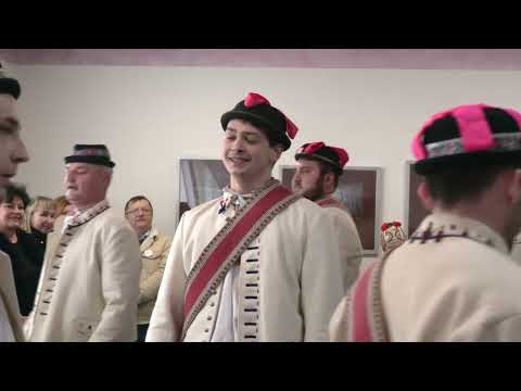 STRÁNÍ-FAŠANK 2024-Fašančárské skupiny se při obchůzce na úvod postupně představují na radnici (2.)