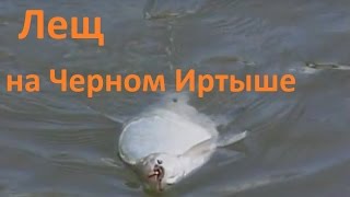 Диалоги о рыбалке ловля леща на кольцо