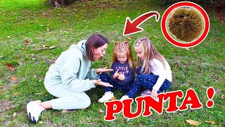 Download lagu ANDIAMO A RACCOGLIERE LE CASTAGNE | VANESSA CADE E SI FA TANTO MALE! mp3 Download lagu ANDIAMO A RACCOGLIERE LE CASTAGNE | VANESSA CADE E SI FA TANTO MALE! mp3