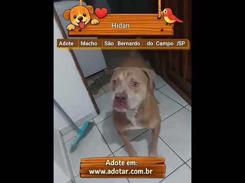 Vídeo de Hidan