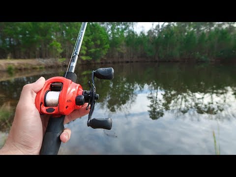 Fishing a HIDDEN Highway Canal (HUGE BASS) Video