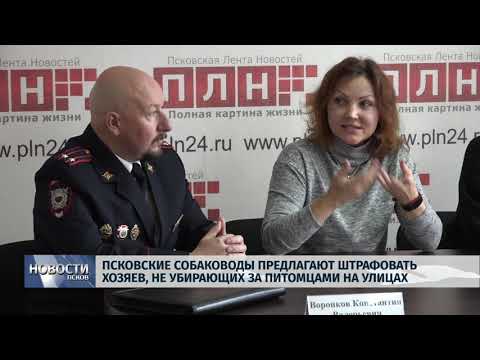 Новости Псков 08.11.2019 / Псковские собаководы предлагают штрафовать хозяев,не убирающих за питомцами на улицах