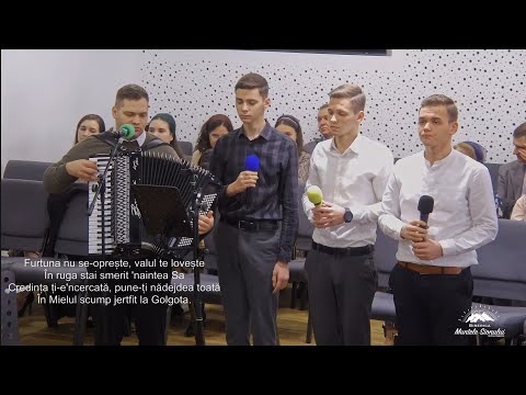 Frații Tomuș- Când vântul bate tare și nu vezi vreo scăpare