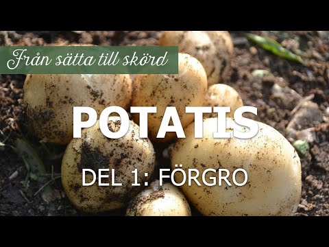 , title : 'Potatis - från sätta till skörd, del 1'