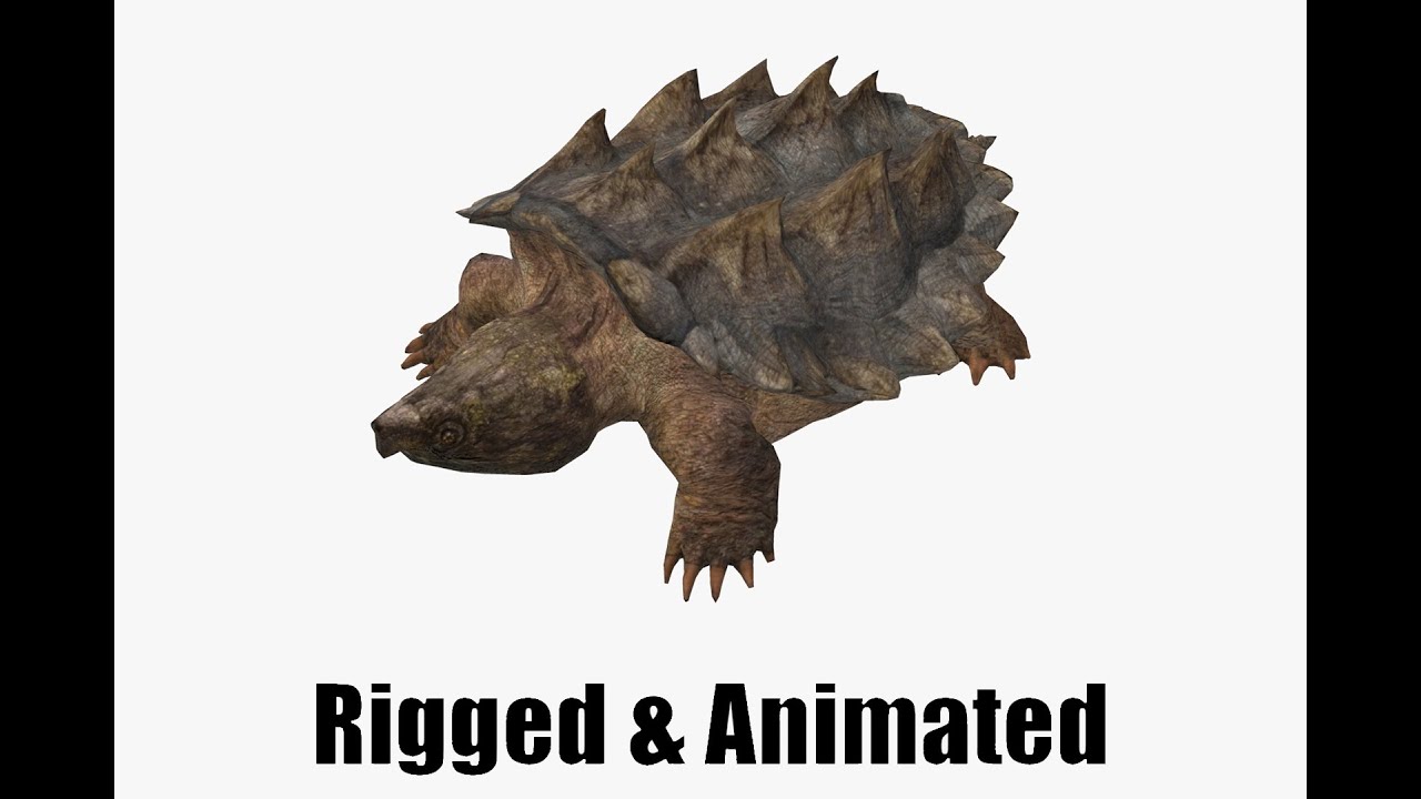 Alligator Snapping Turtle 3D Model