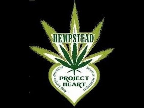 K Solo & DJ Honda feat. Hemp1 - Fugitive (TaoToonrmX)