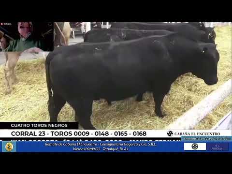 09-09-22 - Remate de Cabaña El Encuentro - Consignataria Gogorza y Cía. S. R.L. - Tapalqué, Bs.As.