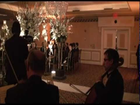 Promotional video thumbnail 12 for Art-Strings Ensembles