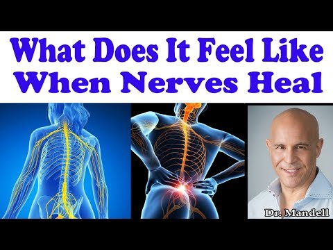 What Does It Feel Like When Nerves Are Healing in Your Body - Dr Alan Mandell, DC