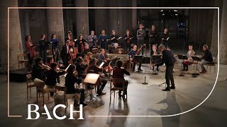 Download lagu Bach - Cantata Es ist dir gesagt, Mensch, was gut ist BWV 45 - Rademann | Netherlands Bach Society mp3 Download lagu Bach - Cantata Es ist dir gesagt, Mensch, was gut ist BWV 45 - Rademann | Netherlands Bach Society mp3