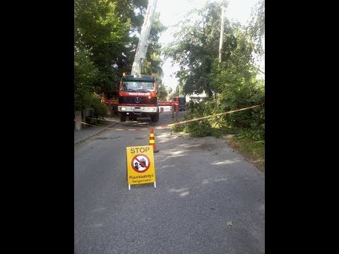 Metsolan Metsäkoulu 40. Pihapuunkaadon turvallisuus 3