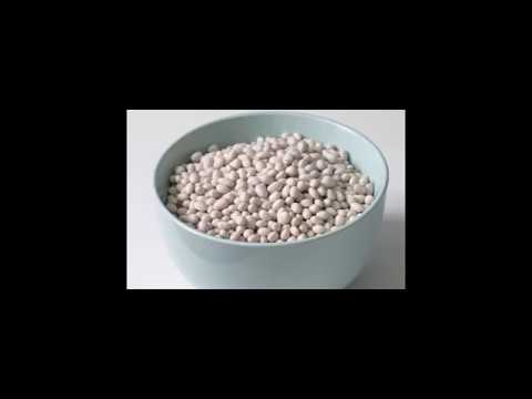 download lagu mp3 mp4 Haricot Beans Australia, download lagu Haricot Beans Australia gratis, unduh video klip Haricot Beans Australia