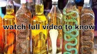 make money buying and selling of amazing top most poisonous snakes in indian market 2018 viral video
