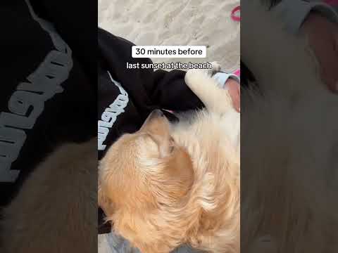 I’ll always miss you❤️