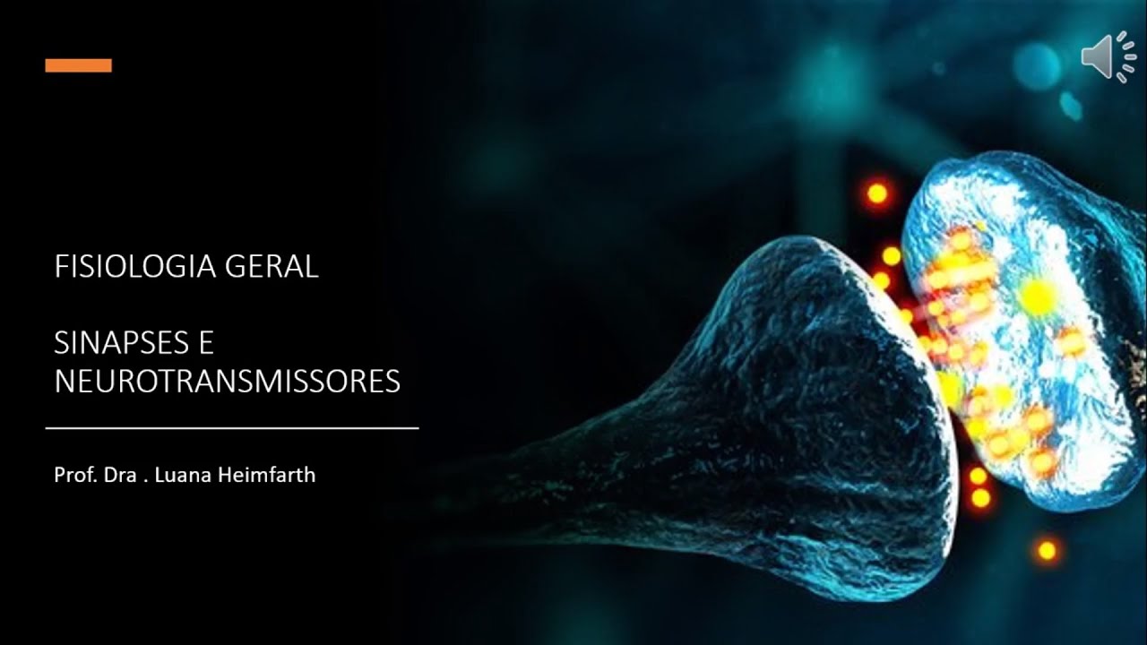 MÓDULO 1 - Aula 3: Sinapses e neurotransmissores