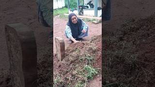 Download lagu Selamat Tinggal Nak Bego ! mp3