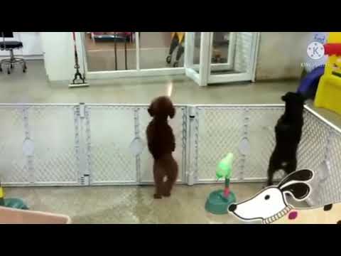 😃😃😃😃😃😃😃😃