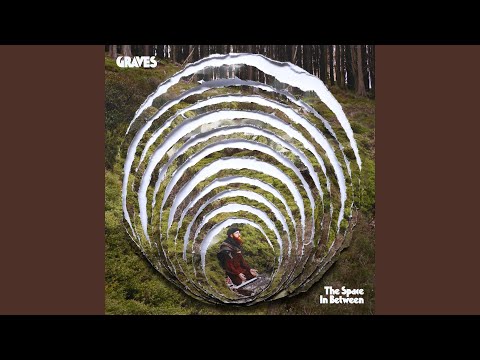 The Gift of the Turtle