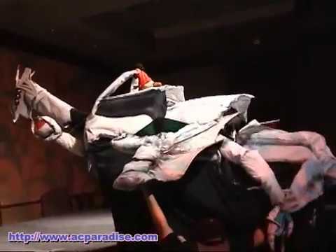 Sakuracon 2002 - #01 Dragon