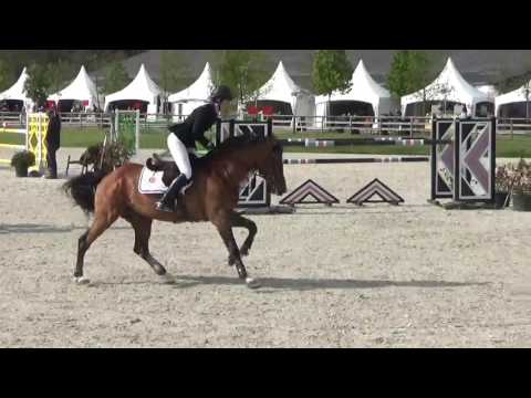 Chin Champ Deborah Jackson CSI Lummen