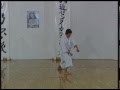 Nijushiho Efthimios Karamitsos Karate Kata Shotokan