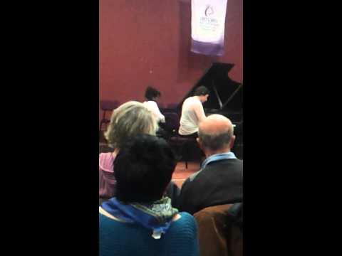 Tsfasman Snowflakes (dafna millo & roni haim)