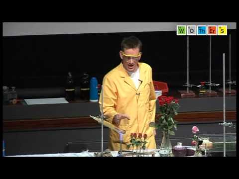 Free Range Chemistry (2008) Iron - Iron Pyrite (Fools Gold)