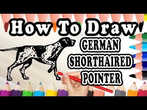 How To Draw A German Shorthaired Pointer DOG | Drawing step by step Dog | Draw Easy For Kids