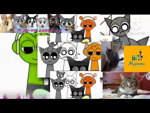 26 октября 2025 г.