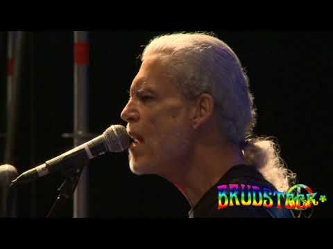 20° BRUDSTOCK  - CANNED HEAT