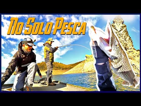 Pesca de LUCIOS desde EMBARCACIÓN ¡Dia de SORPRESAS! | Guide de Peche en Spagne | www.bofishing.es