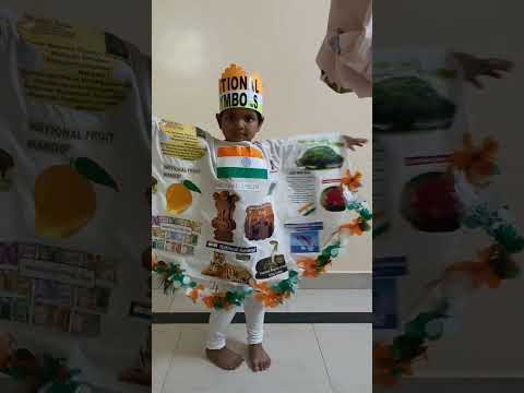 National Symbols Costume