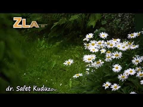 Zlatno pravilo iz usuli-fikha - dr. Safet Kuduzović ᴴᴰ