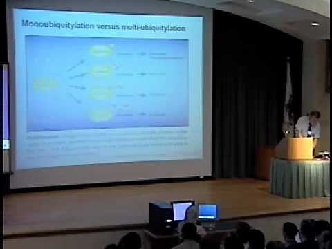 TCBG Summer School 2003: Introduction to Protein Structure and Dynamics - Molecular Graphics. .