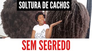 SOLTURA DE CACHOS PROFISSIONAL EM CABELO CRESPO - Tutorial passo a passo