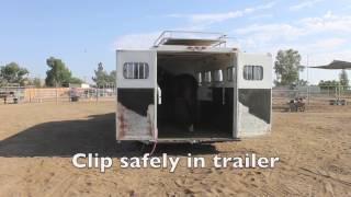 Teaching a rearing horse to load into a horse trailer