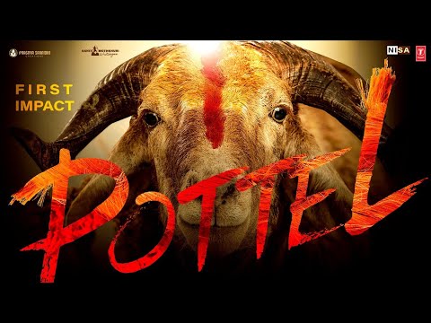 Pottel