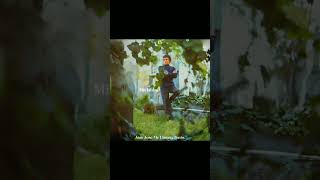 José José - Me Llaman Tonto
