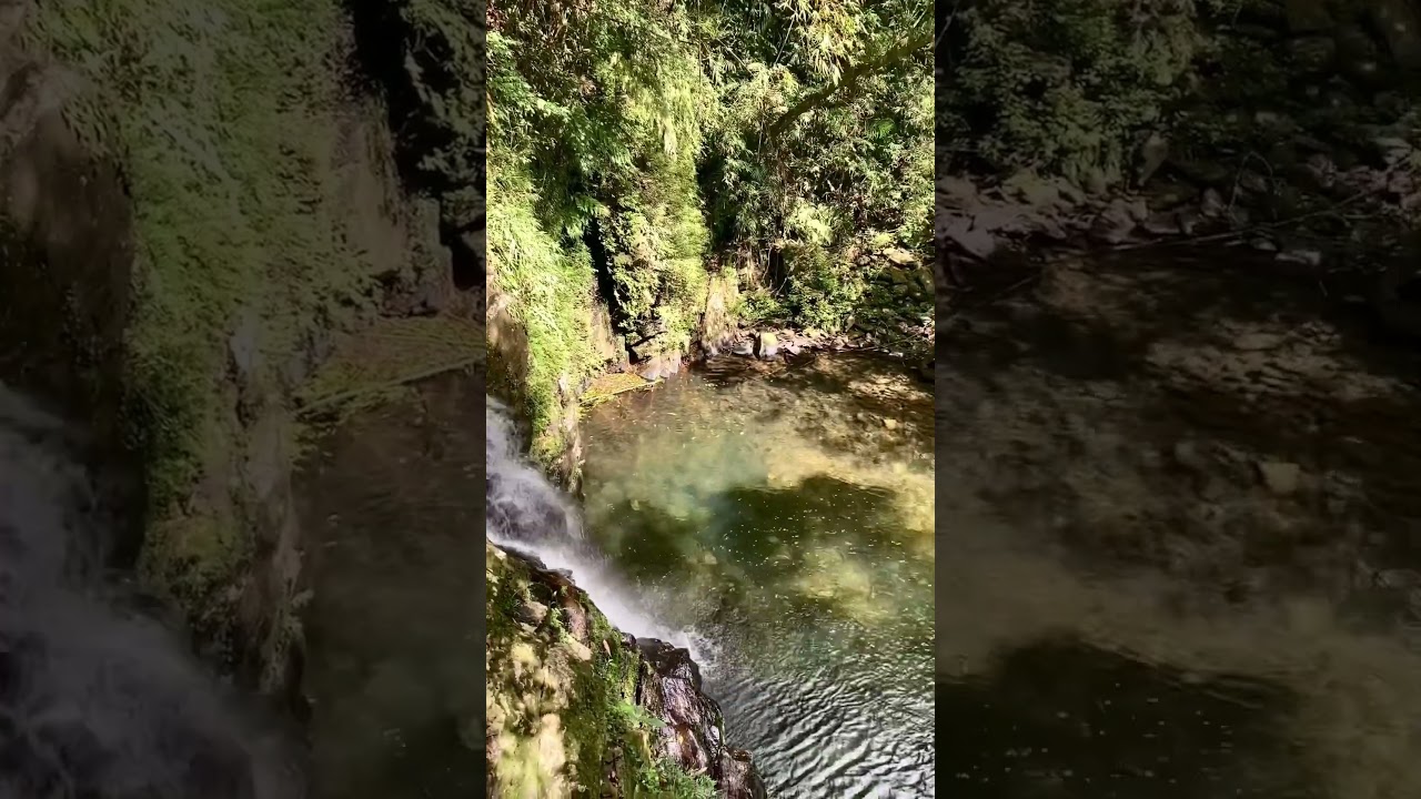 YouTube Short thumbnail