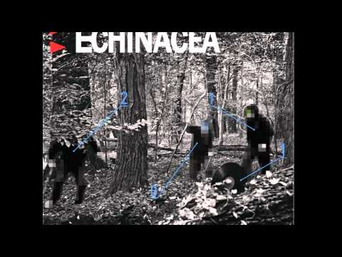 Echinacea - Wez Oddech Feat. DJ Kebs