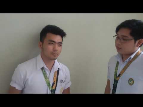 What is a dissertation image