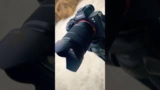 Download lagu Sony alpha A7 M3 📸🥵🔥 #vikasakela #youtubeshorts #camera #sonyalpha7iii #sony mp3 Download lagu Sony alpha A7 M3 📸🥵🔥 #vikasakela #youtubeshorts #camera #sonyalpha7iii #sony mp3