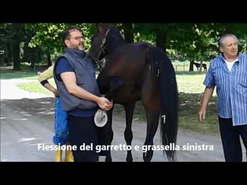 Bruciore agli occhi trattati con osteocondrosi cervicale Dolore cronico Podchufarova schiena