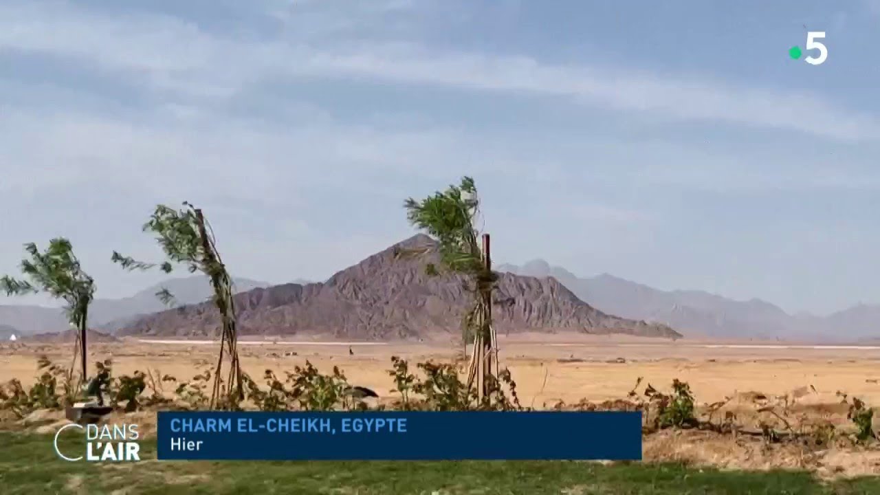 COP 27 : les regards tournés vers la Chine - Reportage 05.11.2022