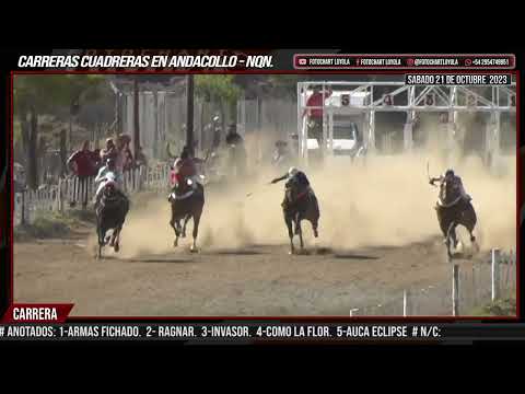 ARMAS FICHADO - Andacollo - Nqn. 21-10-23@fotochartloyola23