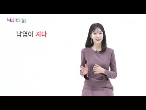 이진 아나운서 2018 12 10